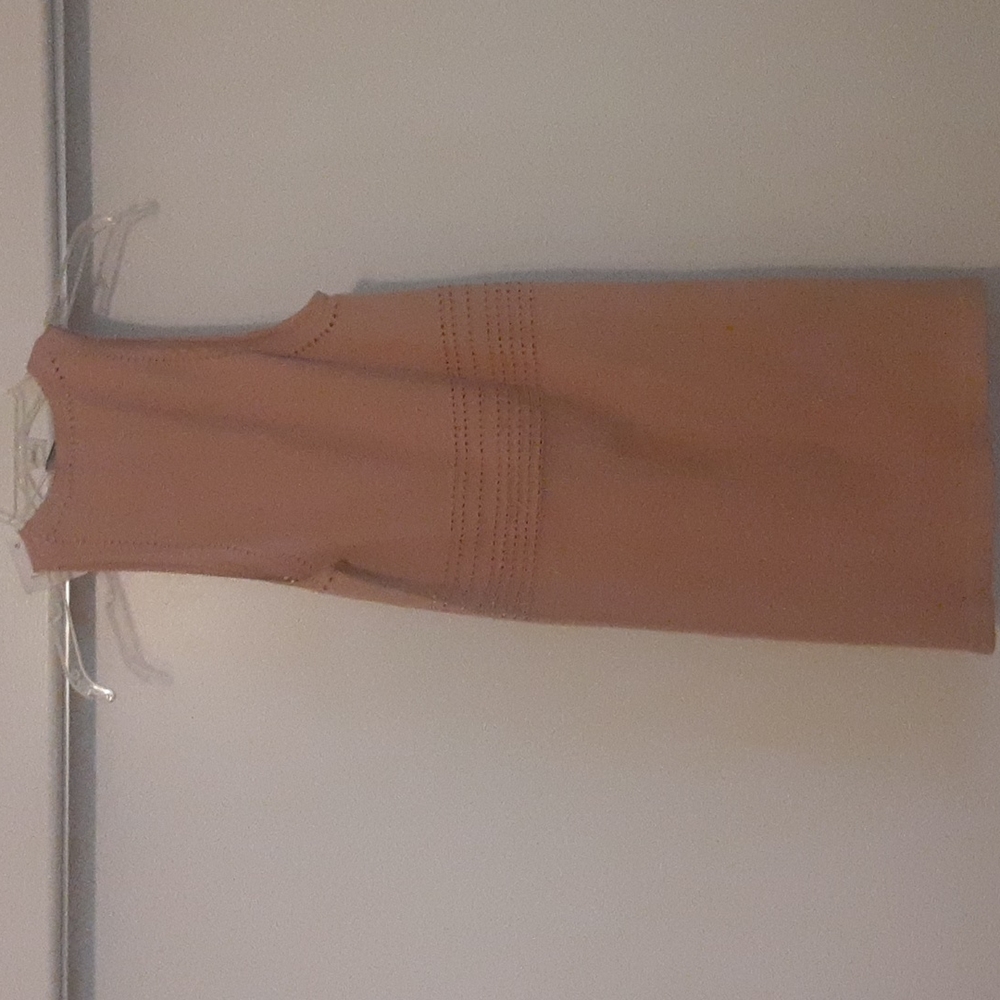 NWT Zara Dress